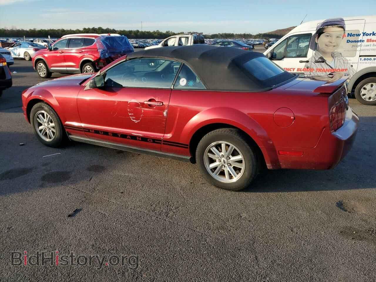 2006 FORD ALL Models - VIN: 1ZVFT84N165101398 - Photo 2