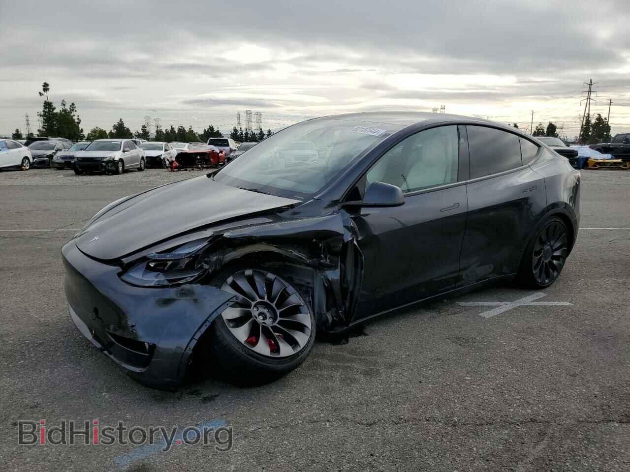 Фотография 7SAYGDEF0RF020995 - TESLA MODEL Y 2024