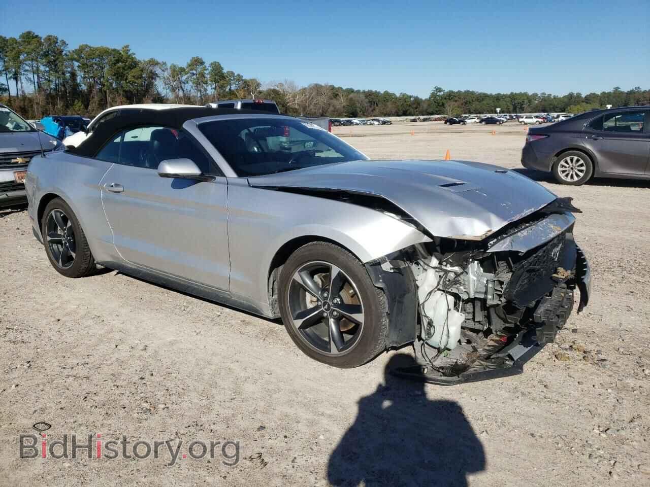 2019 FORD ALL Models - VIN: 1FATP8UH2K5149254 - Photo 4