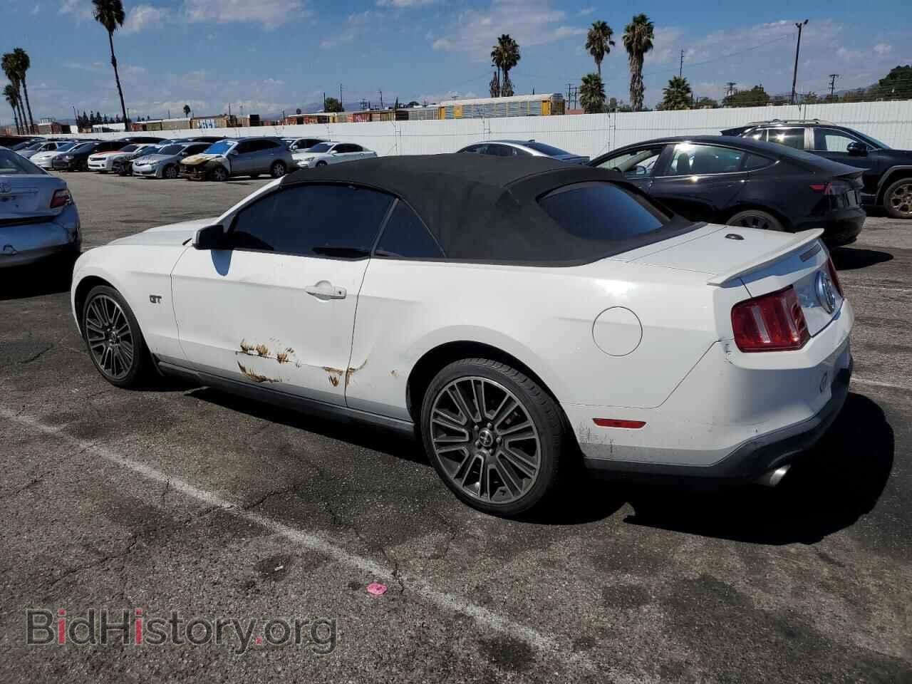 2010 FORD MUSTANG - VIN: 1ZVBP8FH2A5178963 - Фото 2