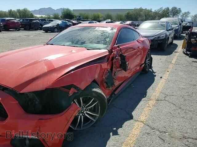 2016 FORD ALL Models - VIN: 1FA6P8TH5G5280216 - Photo 14