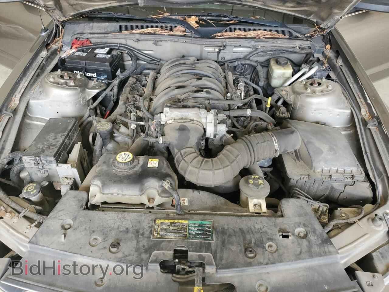2005 FORD MUSTANG - VIN: 1ZVFT85H655257671 - Фото 11