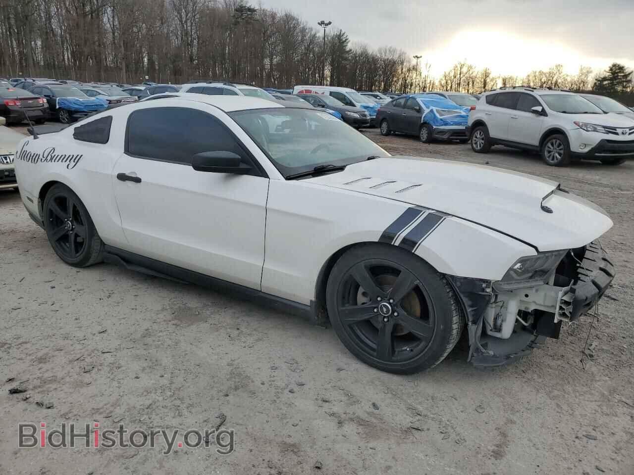 2011 FORD ALL Models - VIN: 1ZVBP8AM8B5137095 - Фото 4