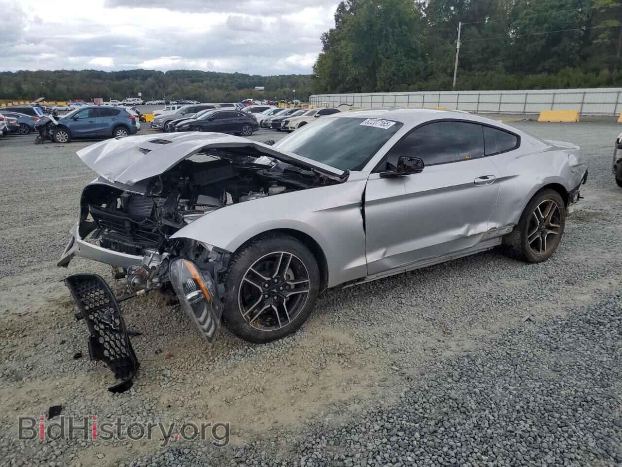 Photo 1FA6P8THXK5172554 - FORD ALL Models 2019