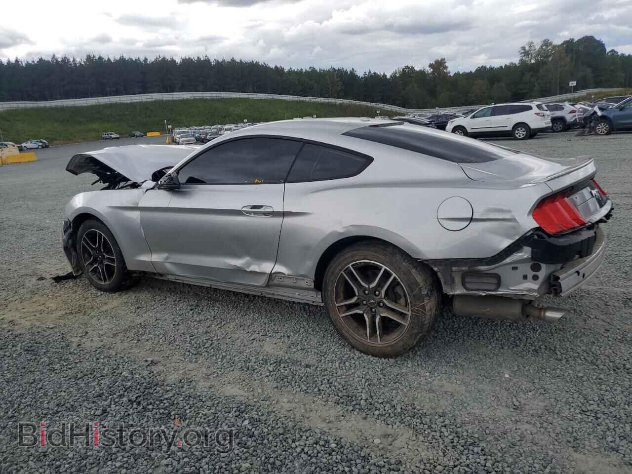 2019 FORD ALL Models - VIN: 1FA6P8THXK5172554 - Фото 2
