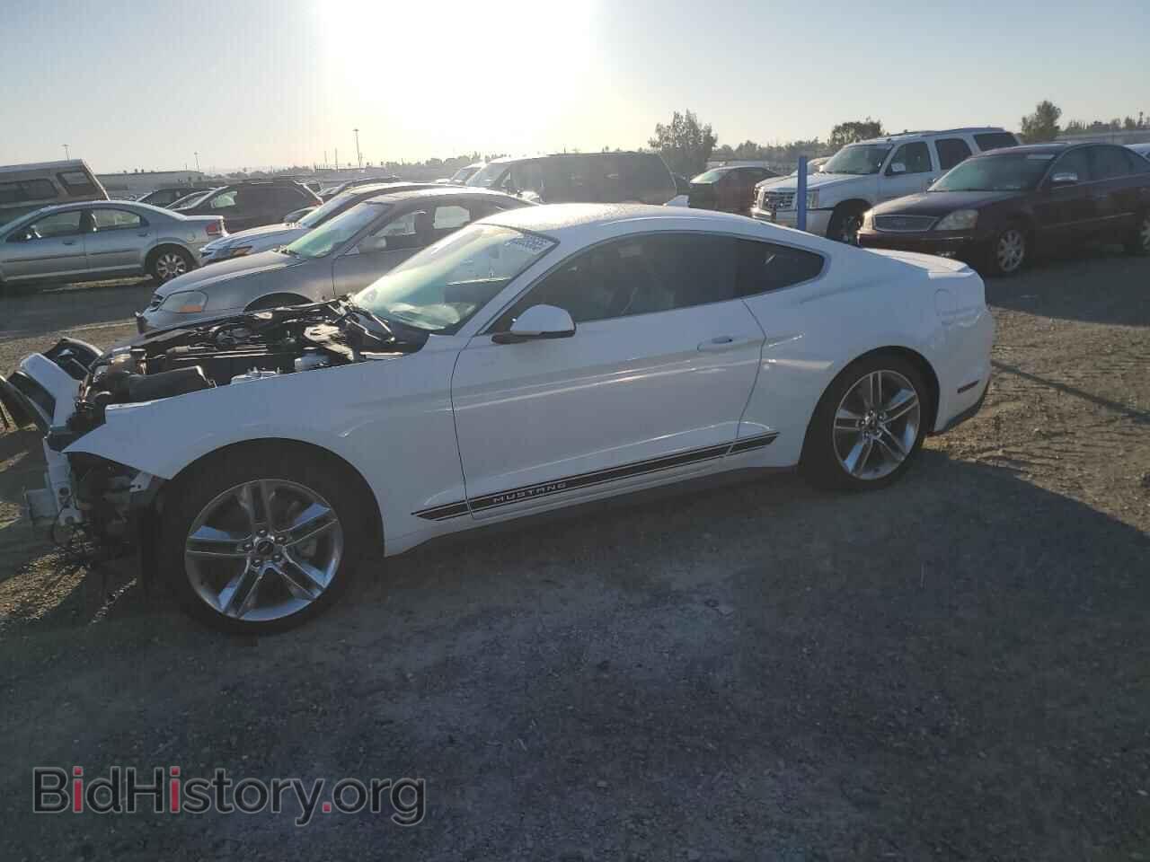 Photo 1FA6P8TH1L5186845 - FORD ALL Models 2020