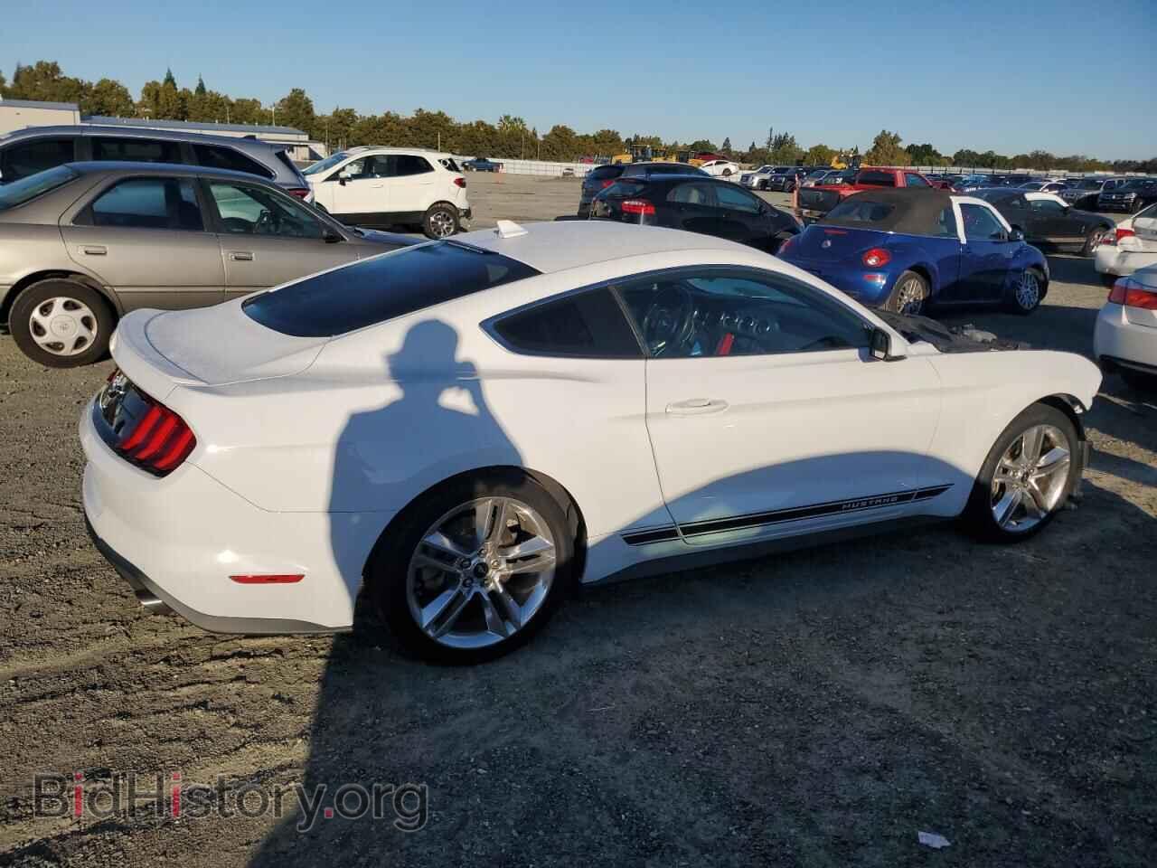 2020 FORD ALL Models - VIN: 1FA6P8TH1L5186845 - Фото 3