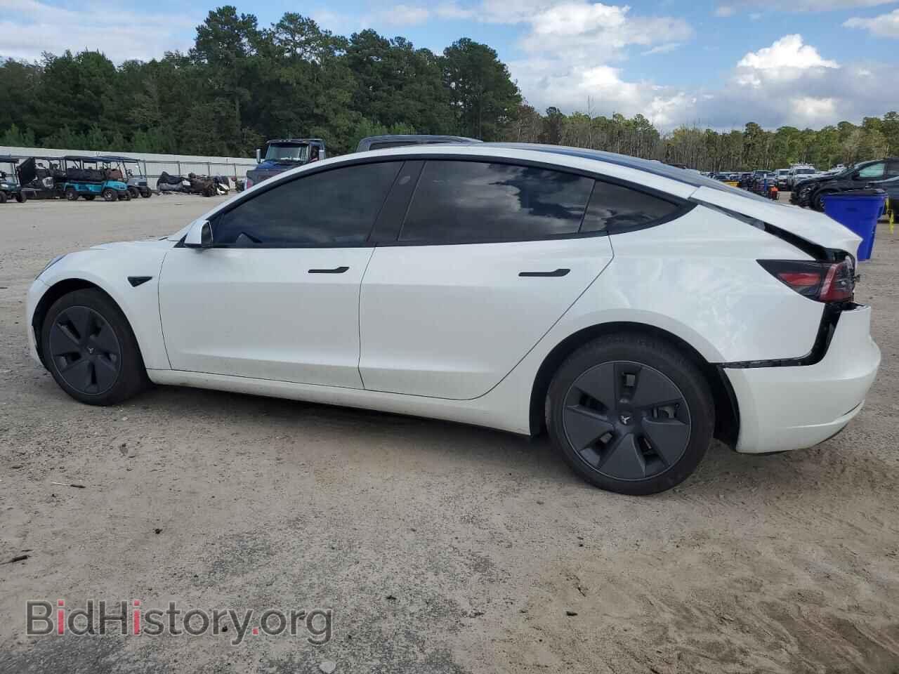 2023 TESLA MODEL 3 - VIN: 5YJ3E1EA8PF562813 - Photo 2