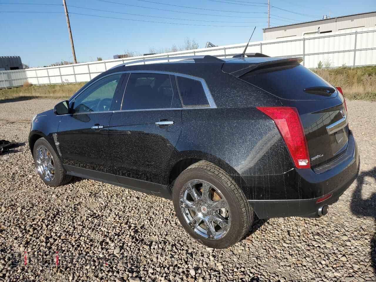 2011 CADILLAC SRX - VIN: 3GYFNFEY4BS670816 - Фото 2