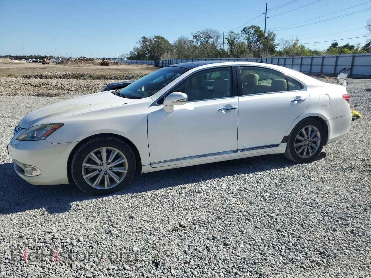 Фотография JTHBK1EG0A2406332 - LEXUS ES350 2010