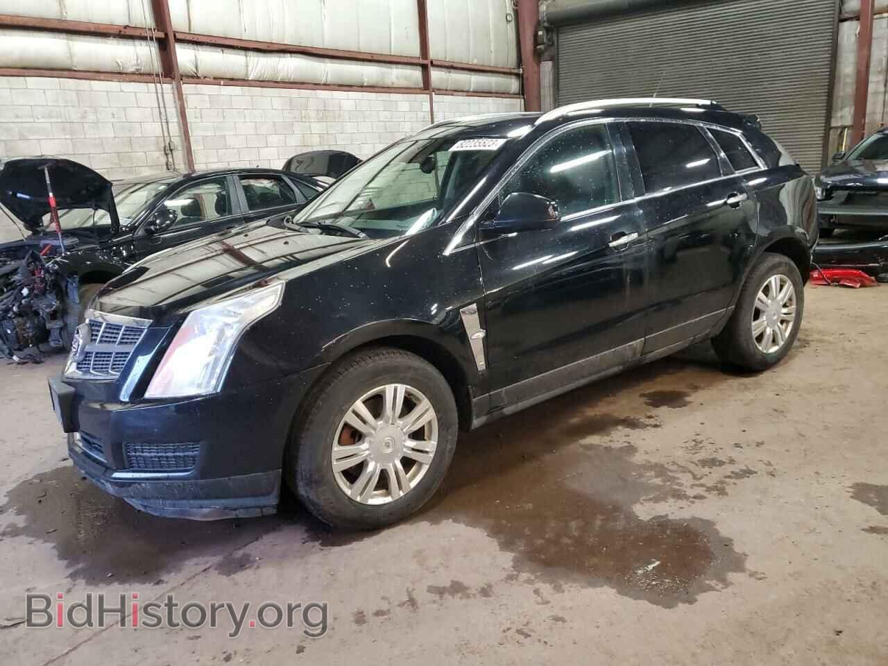 Photo 3GYFNAEY8AS601533 - CADILLAC SRX 2010