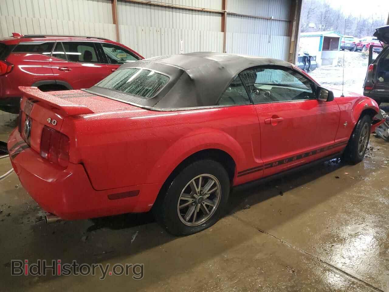 2005 FORD ALL Models - VIN: 1ZVFT84N055220705 - Фото 3