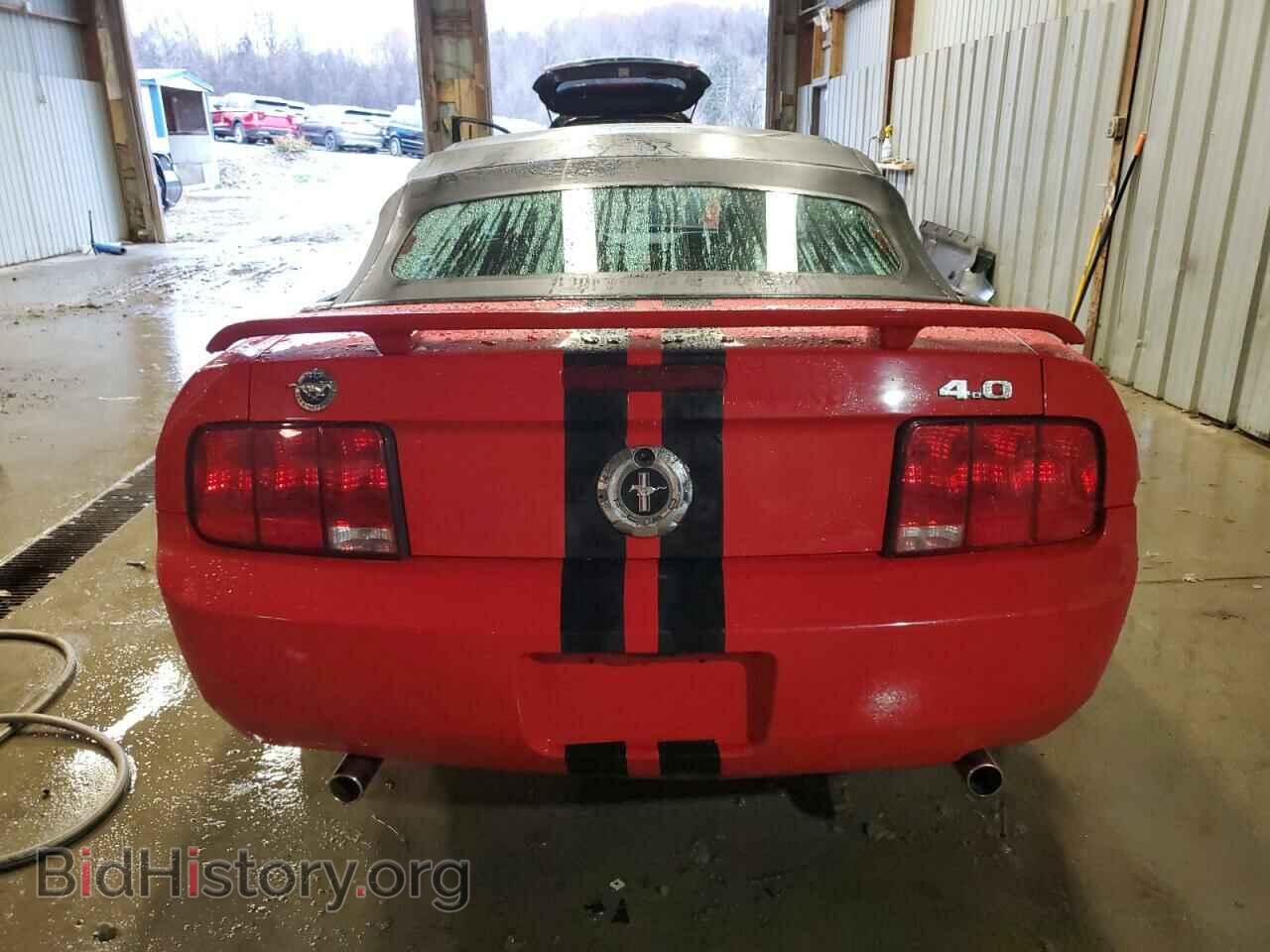 2005 FORD ALL Models - VIN: 1ZVFT84N055220705 - Фото 6