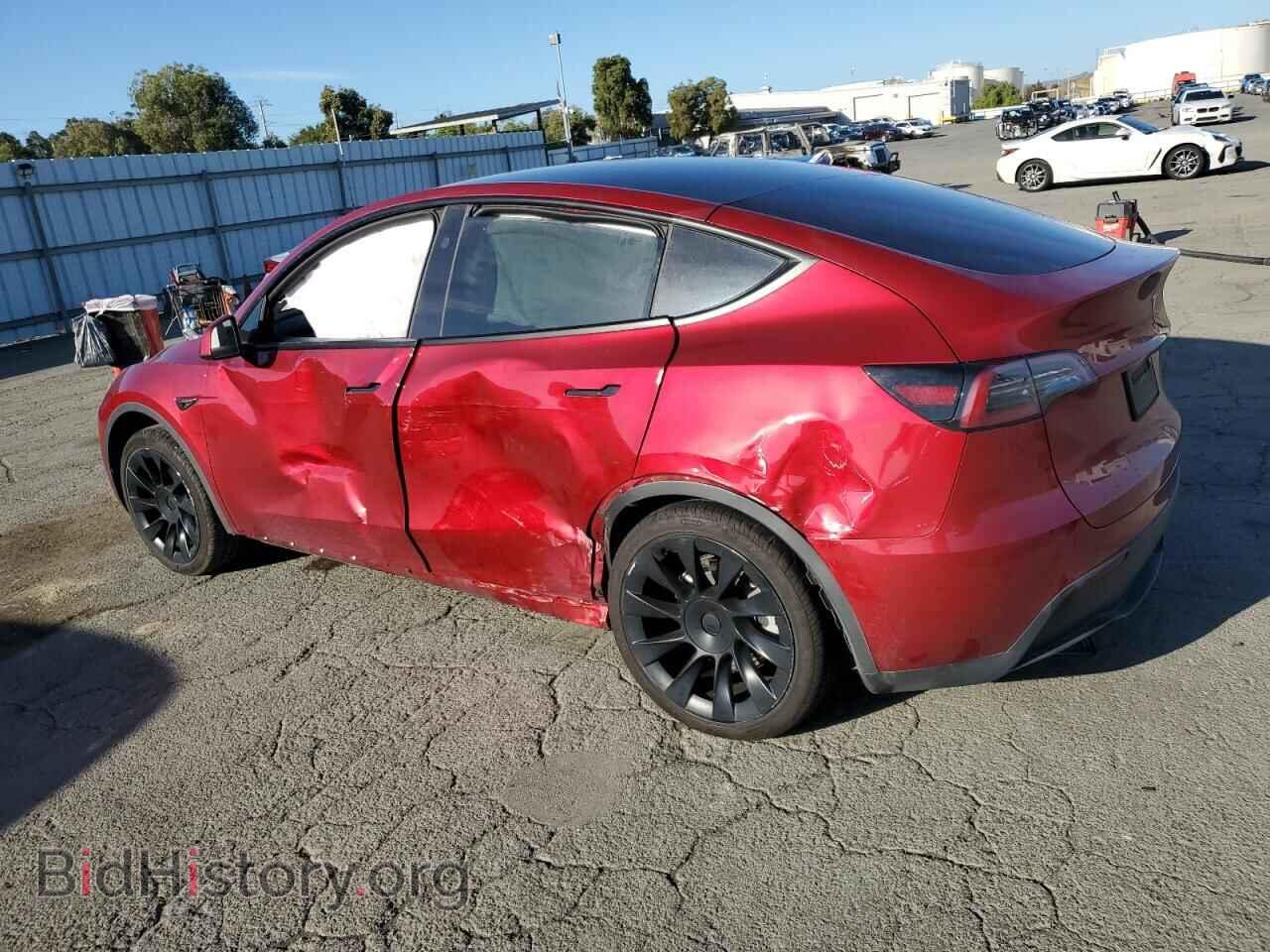 2024 TESLA MODEL Y - VIN: 7SAYGDED8RF129624 - Фото 2