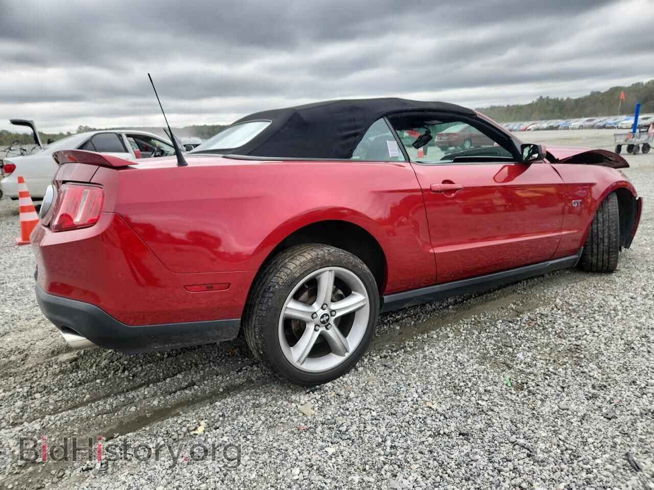 2010 FORD MUSTANG - VIN: 1ZVBP8FH1A5141158 - Фото 3