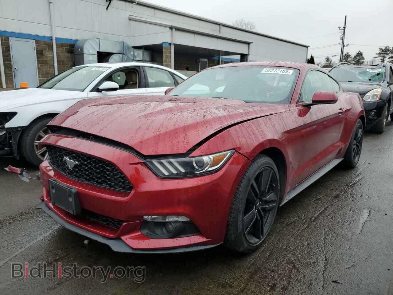 Фотография 1FA6P8TH4H5322604 - FORD ALL Models 2017