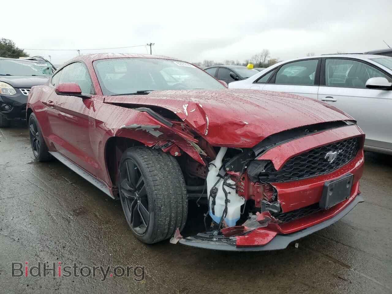 2017 FORD ALL Models - VIN: 1FA6P8TH4H5322604 - Фото 4
