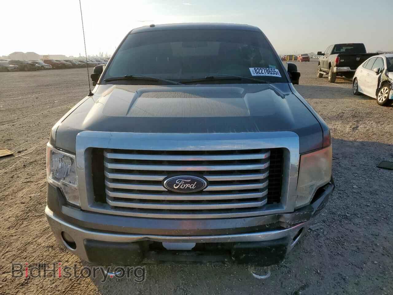 2010 FORD F-150 - VIN: 1FTFX1EV5AFC95059 - Фото 5