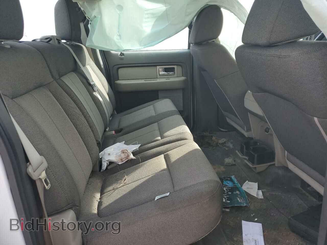 2010 FORD F-150 - VIN: 1FTEW1E82AFA69733 - Фото 10