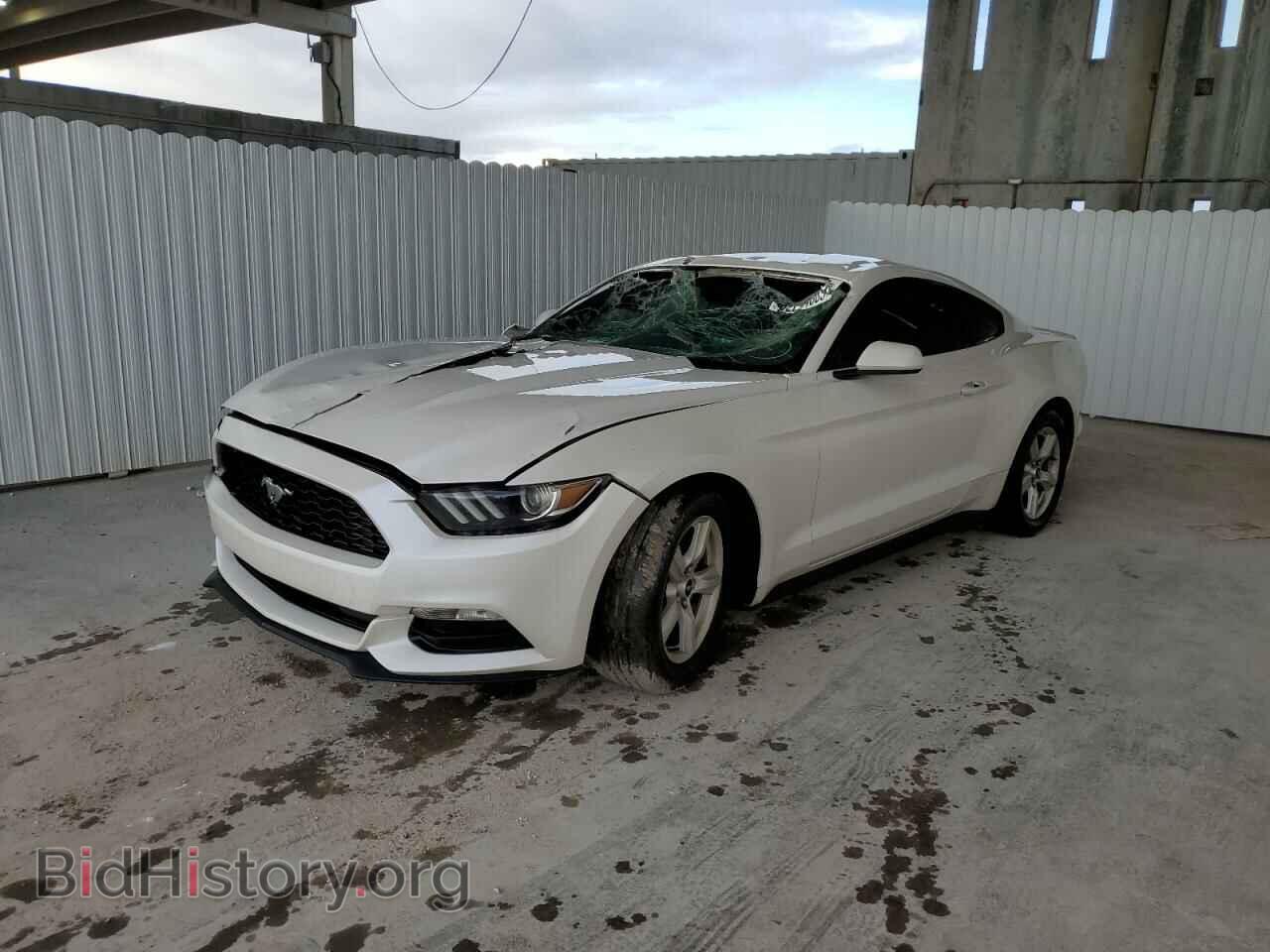 Photo 1FA6P8AM7H5259255 - FORD ALL Models 2017