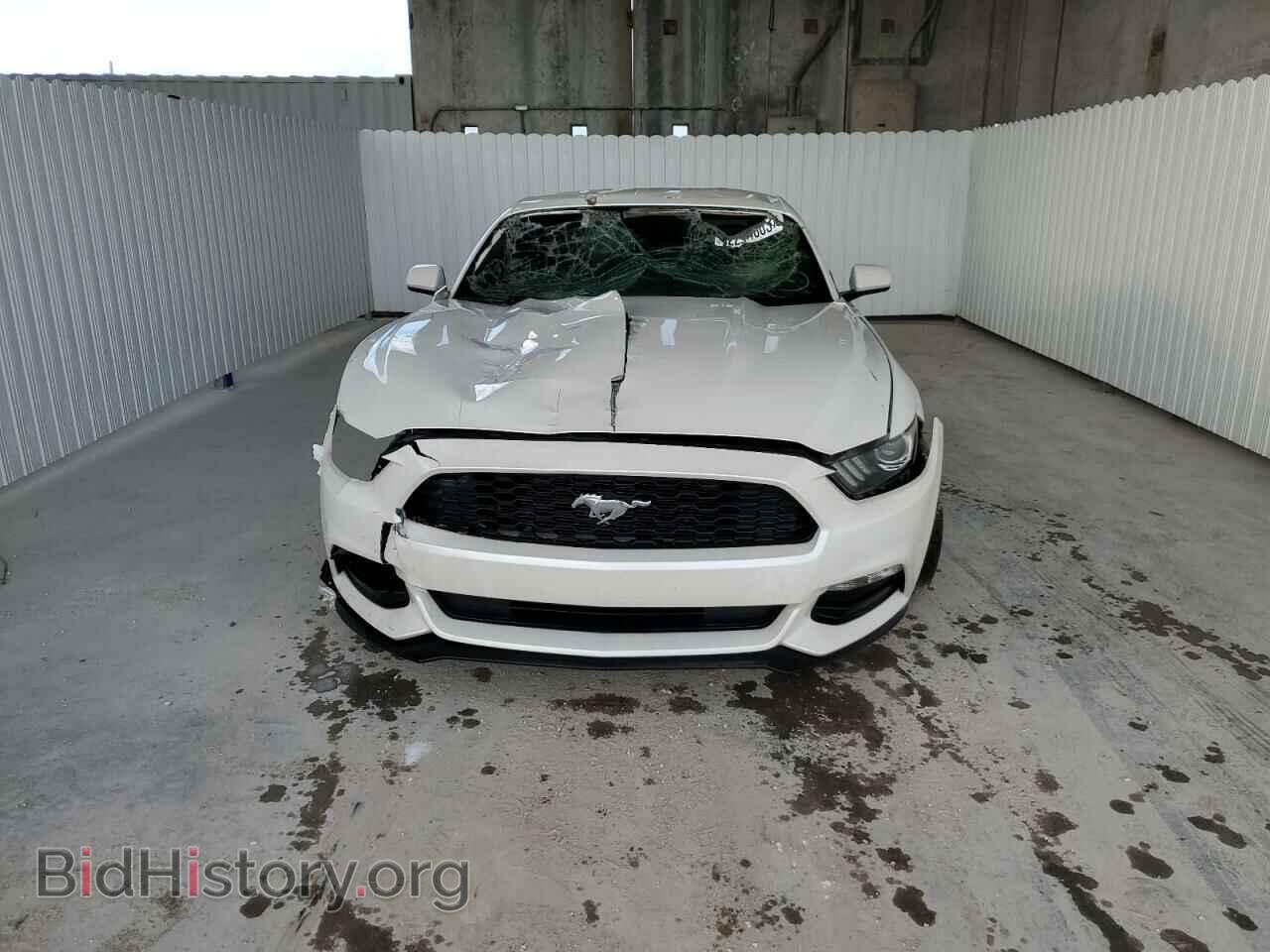 2017 FORD ALL Models - VIN: 1FA6P8AM7H5259255 - Фото 5