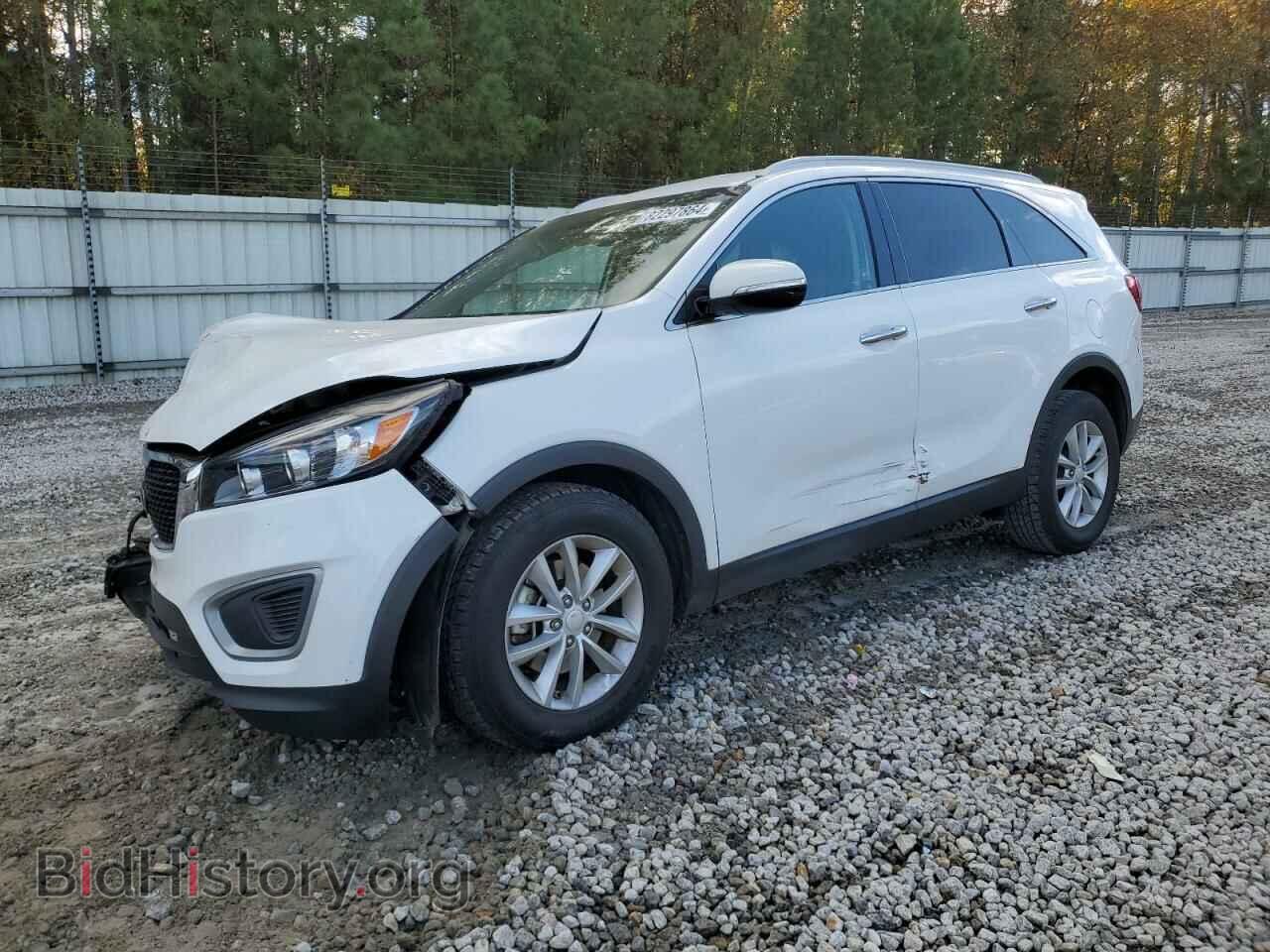 Photo 5XYPG4A36HG248169 - KIA SORENTO 2017