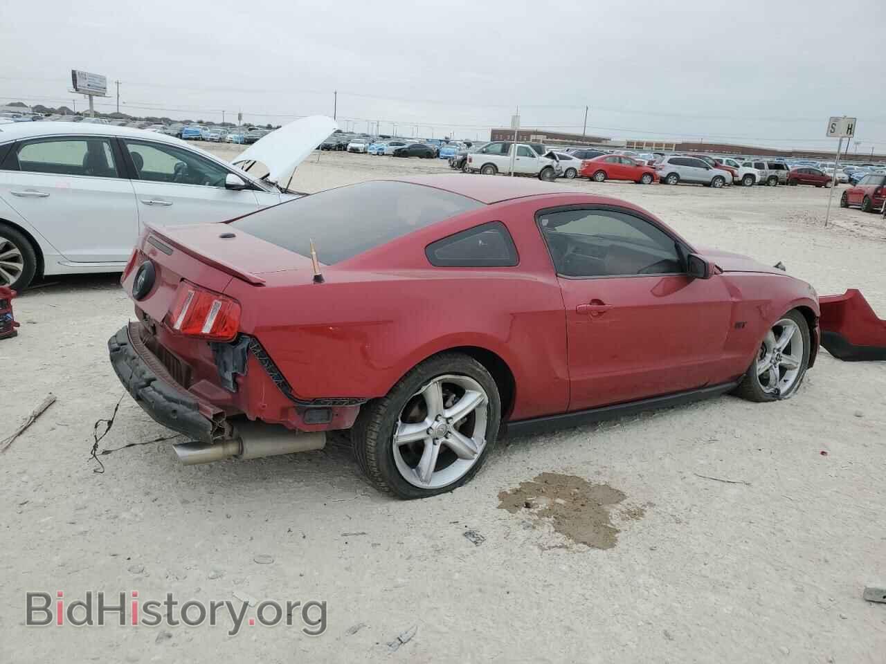 2010 FORD MUSTANG - VIN: 1ZVBP8CH2A5141108 - Фото 3