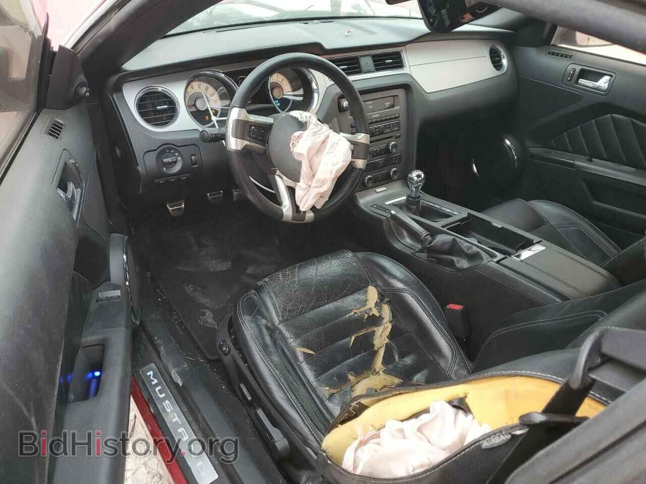 2010 FORD MUSTANG - VIN: 1ZVBP8CH2A5141108 - Фото 8