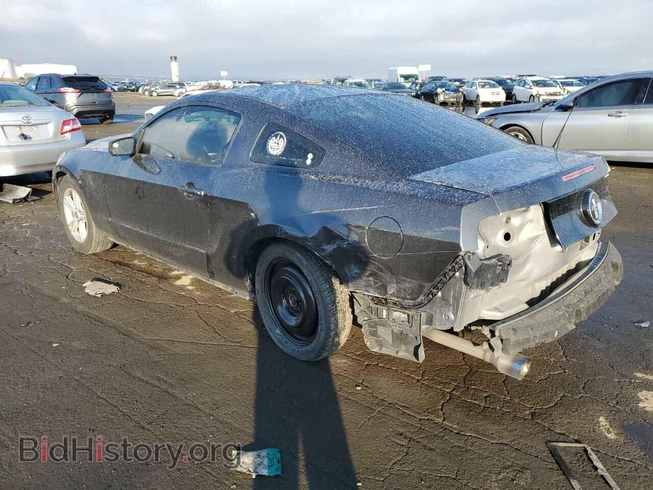 2014 FORD ALL Models - VIN: 1ZVBP8AM5E5310690 - Фото 2