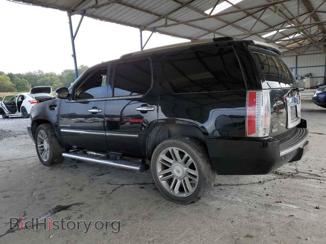 2010 CADILLAC ESCALADE - VIN: 1GYUKBEF2AR280628 - Фото 2