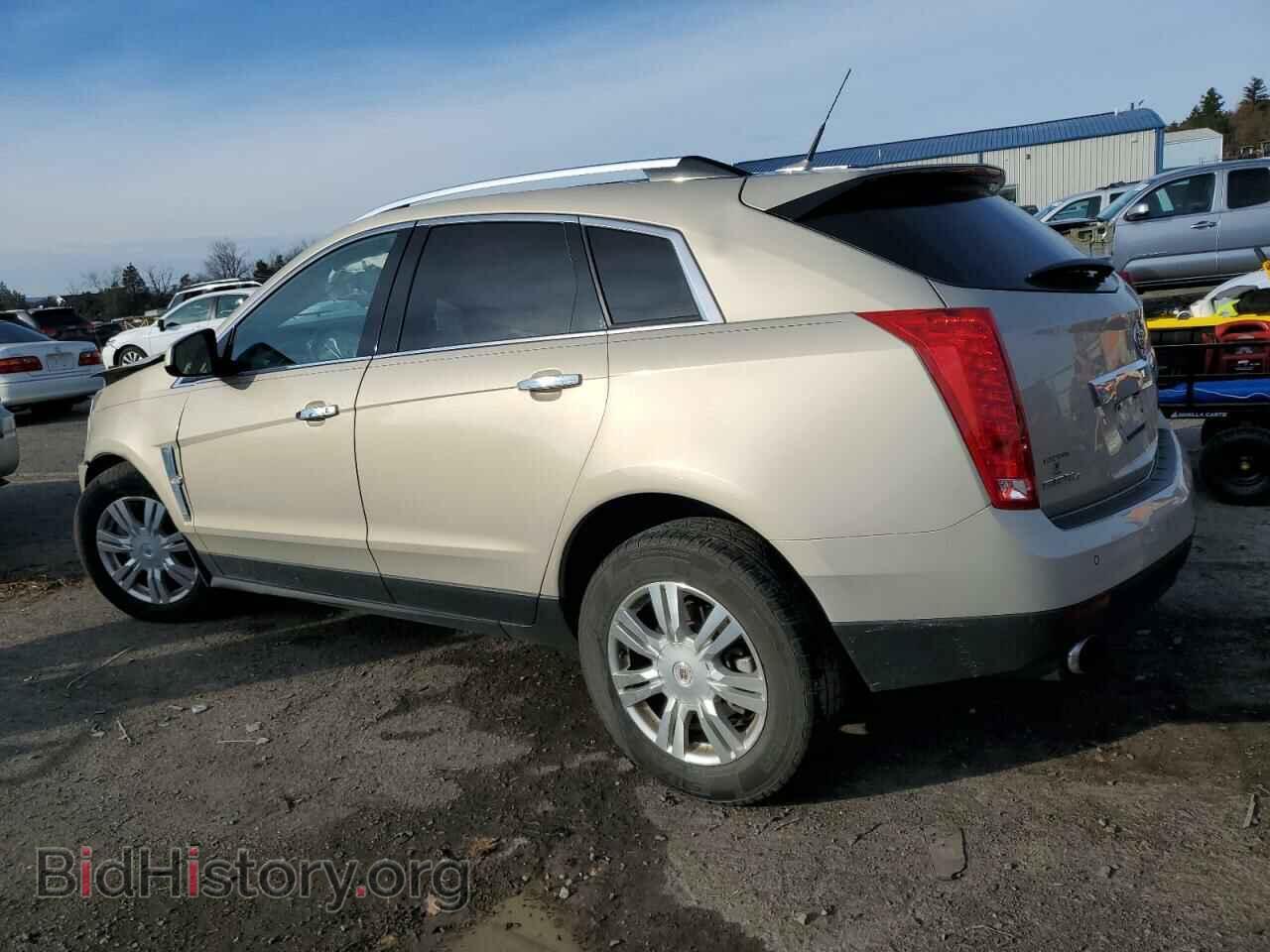 2011 CADILLAC SRX - VIN: 3GYFNDEY6BS528892 - Фото 2