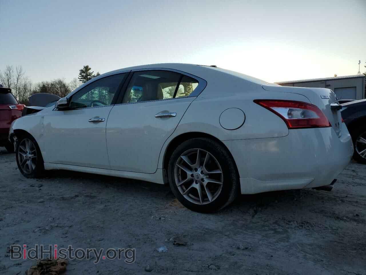 2010 NISSAN MAXIMA - VIN: 1N4AA5AP5AC866471 - Фото 2