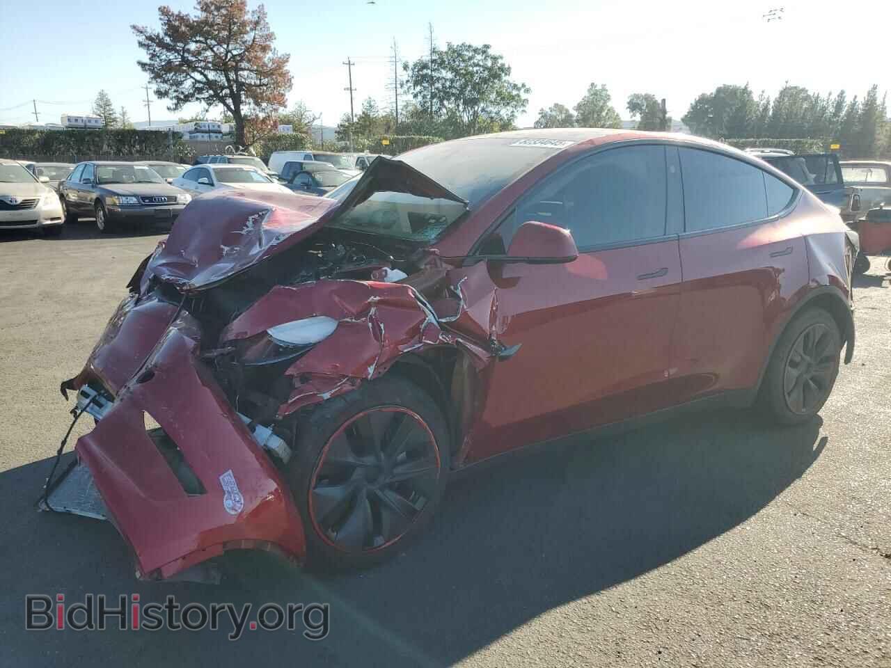 Фотография 7SAYGDED4RF201869 - TESLA MODEL Y 2024