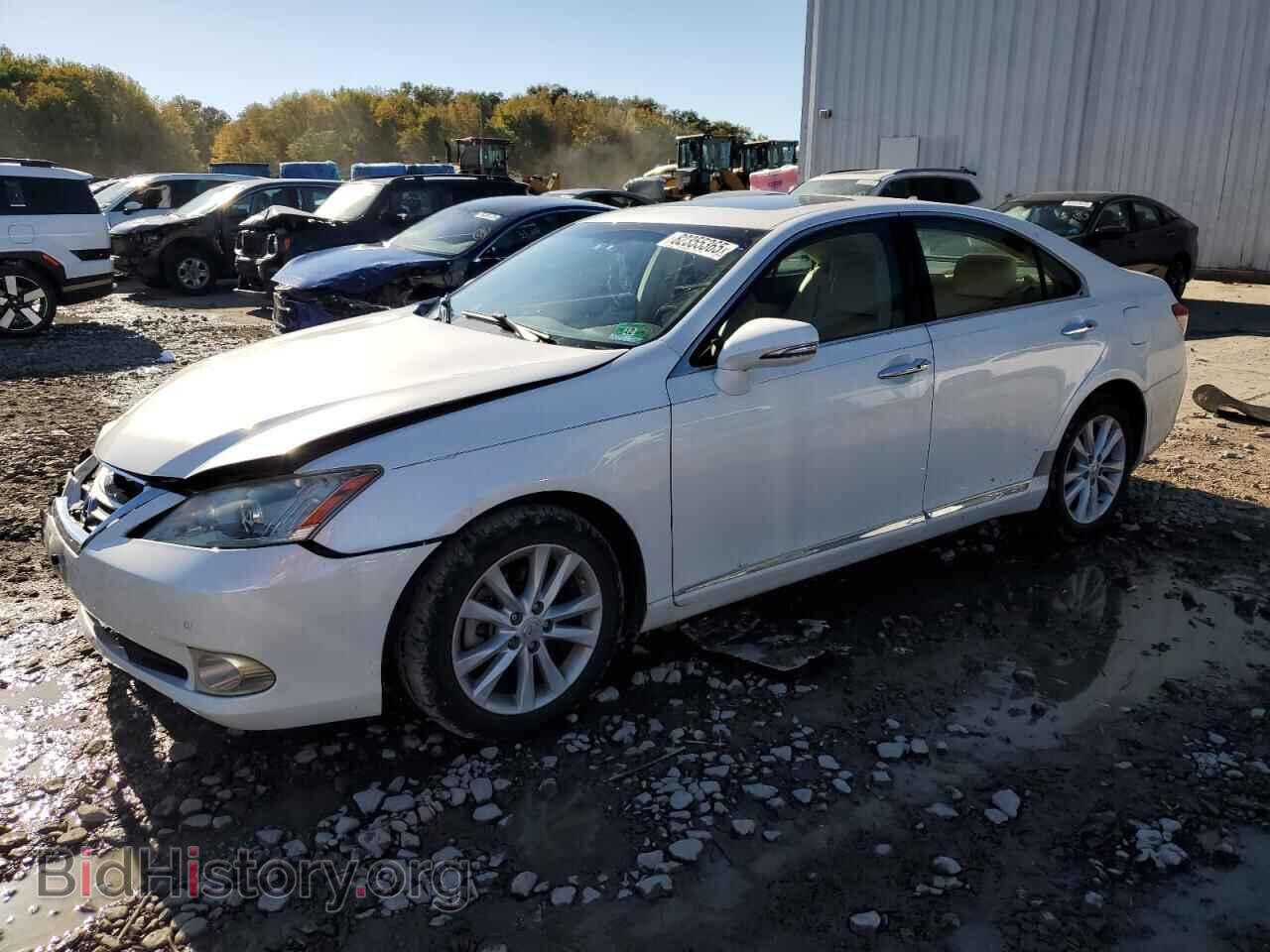 Photo JTHBK1EG8C2478964 - LEXUS ES350 2012