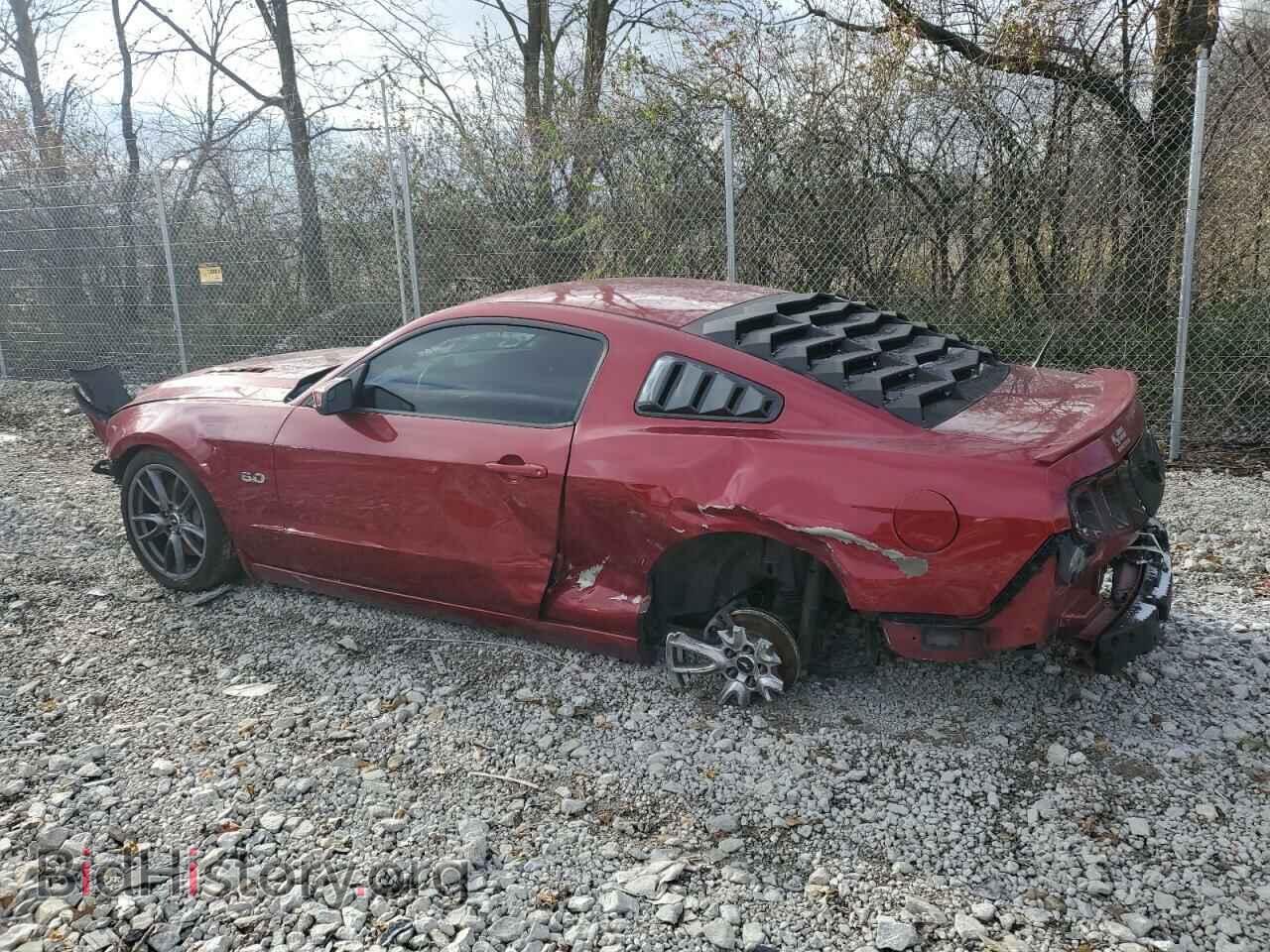 2014 FORD MUSTANG - VIN: 1ZVBP8CF1E5282451 - Фото 2