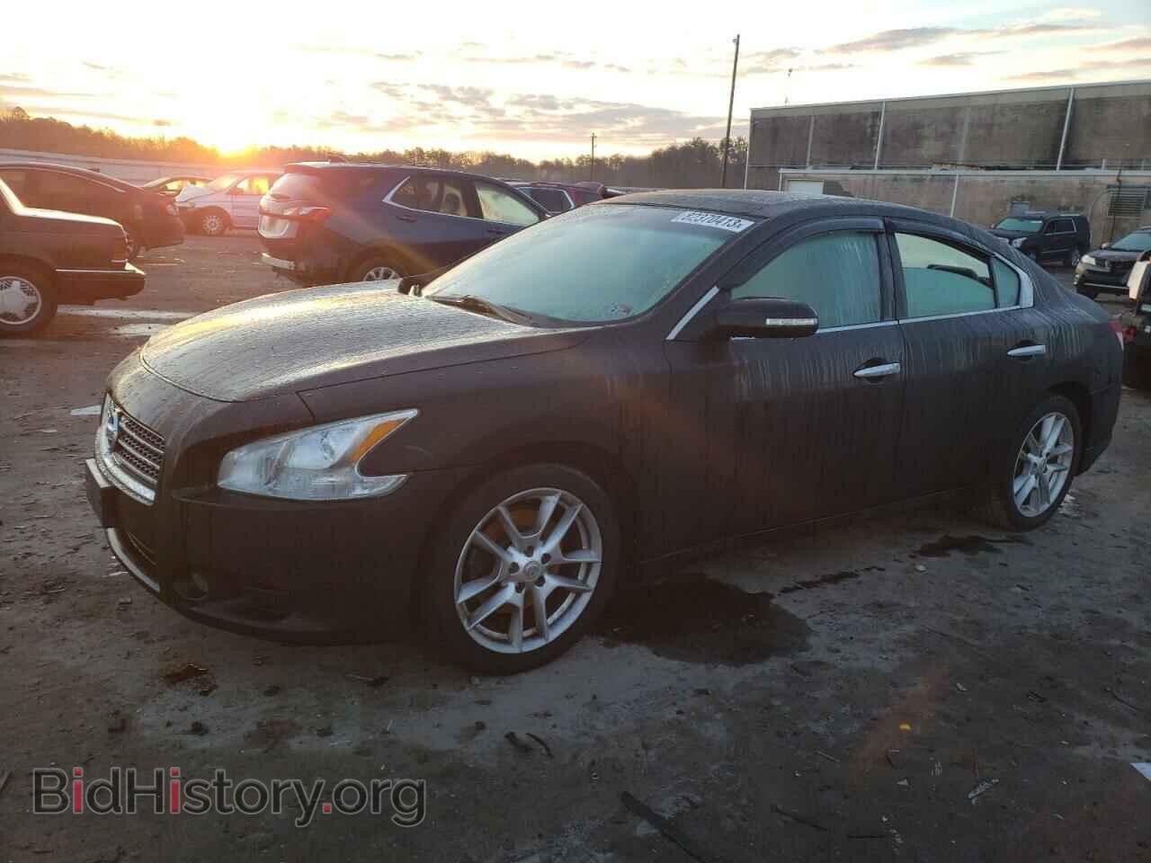 Фотография 1N4AA5AP8BC853697 - NISSAN MAXIMA 2011