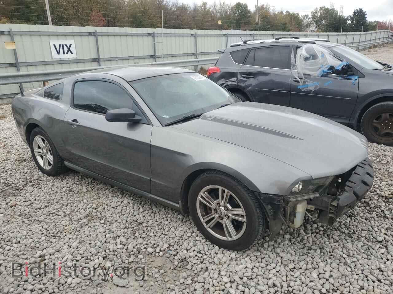 2010 FORD ALL Models - VIN: 1ZVBP8AN3A5155849 - Фото 4