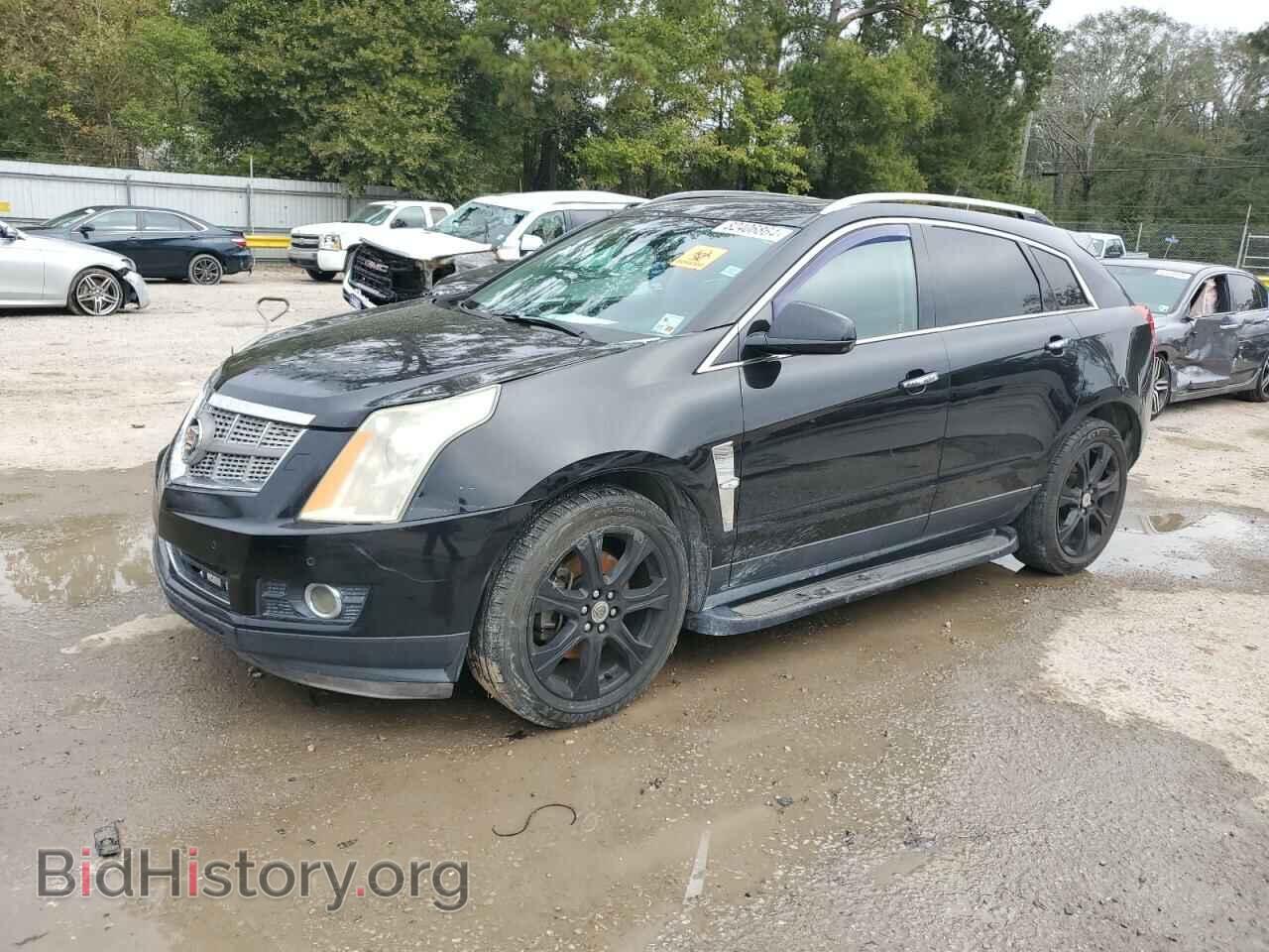 Фотография 3GYFNBEY0AS567755 - CADILLAC SRX 2010