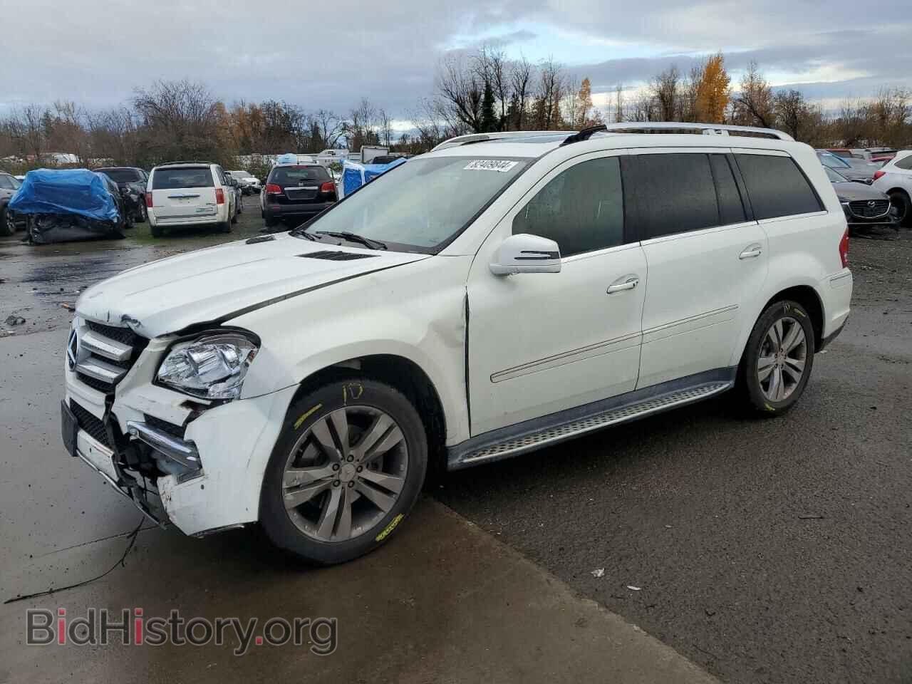 Photo 4JGBF7BE7BA691934 - MERCEDES-BENZ GL-CLASS 2011