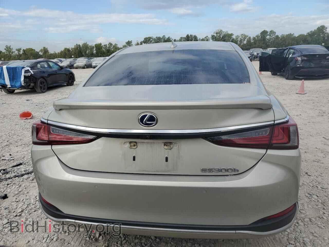 2021 LEXUS ES300 - VIN: 58ADA1C1XMU001250 - Фото 6