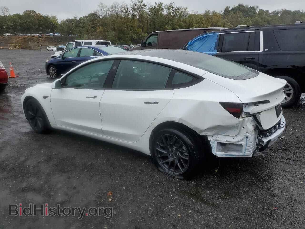 2024 TESLA MODEL 3 - VIN: 5YJ3E1EA5RF728546 - Фото 2