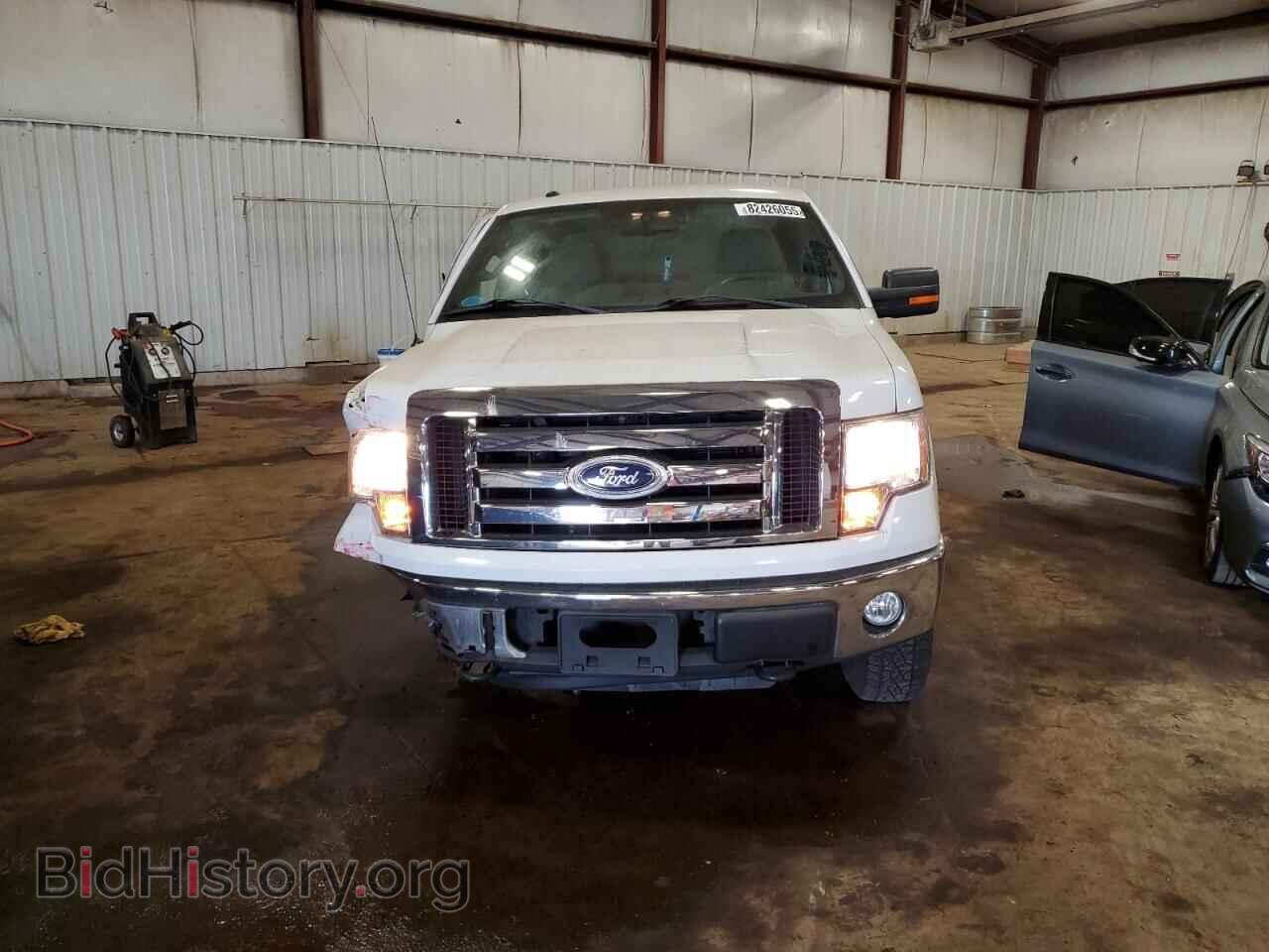 2010 FORD F-150 - VIN: 1FTFX1EV3AFB46777 - Фото 5