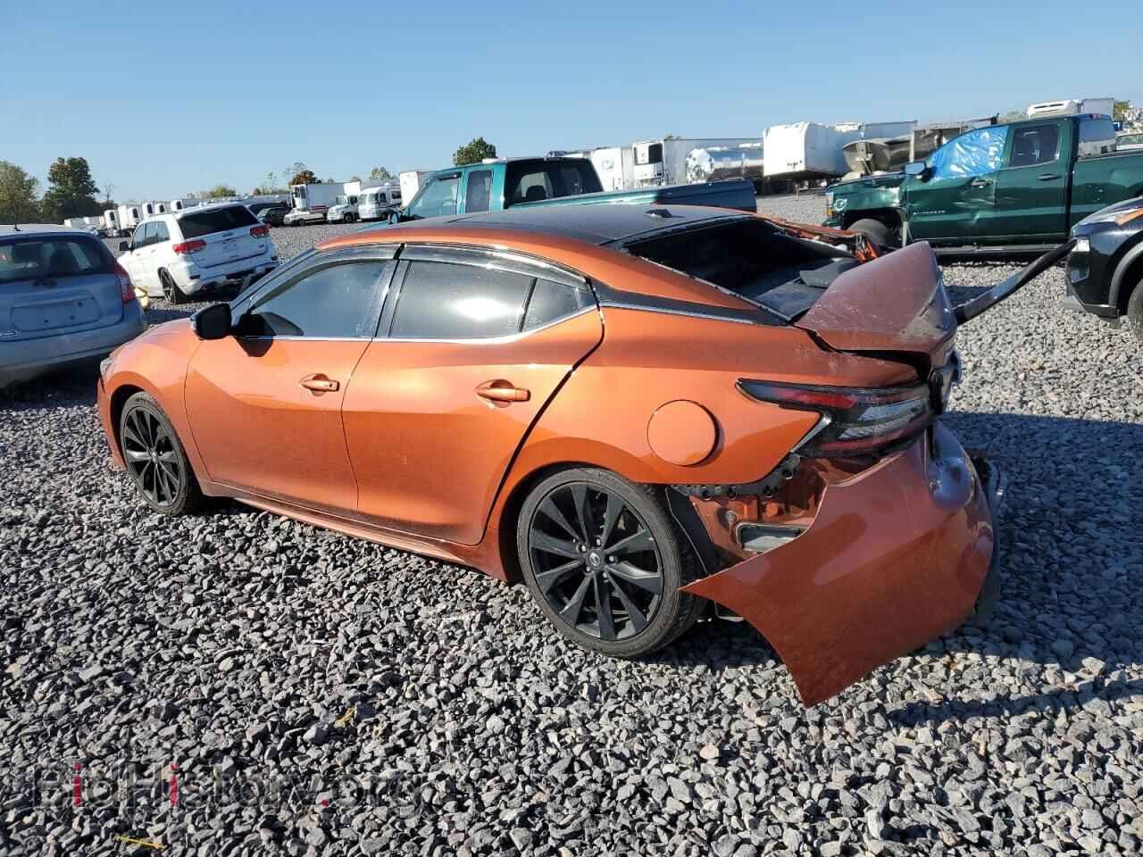 2020 NISSAN MAXIMA - VIN: 1N4AA6EV4LC386018 - Фото 2