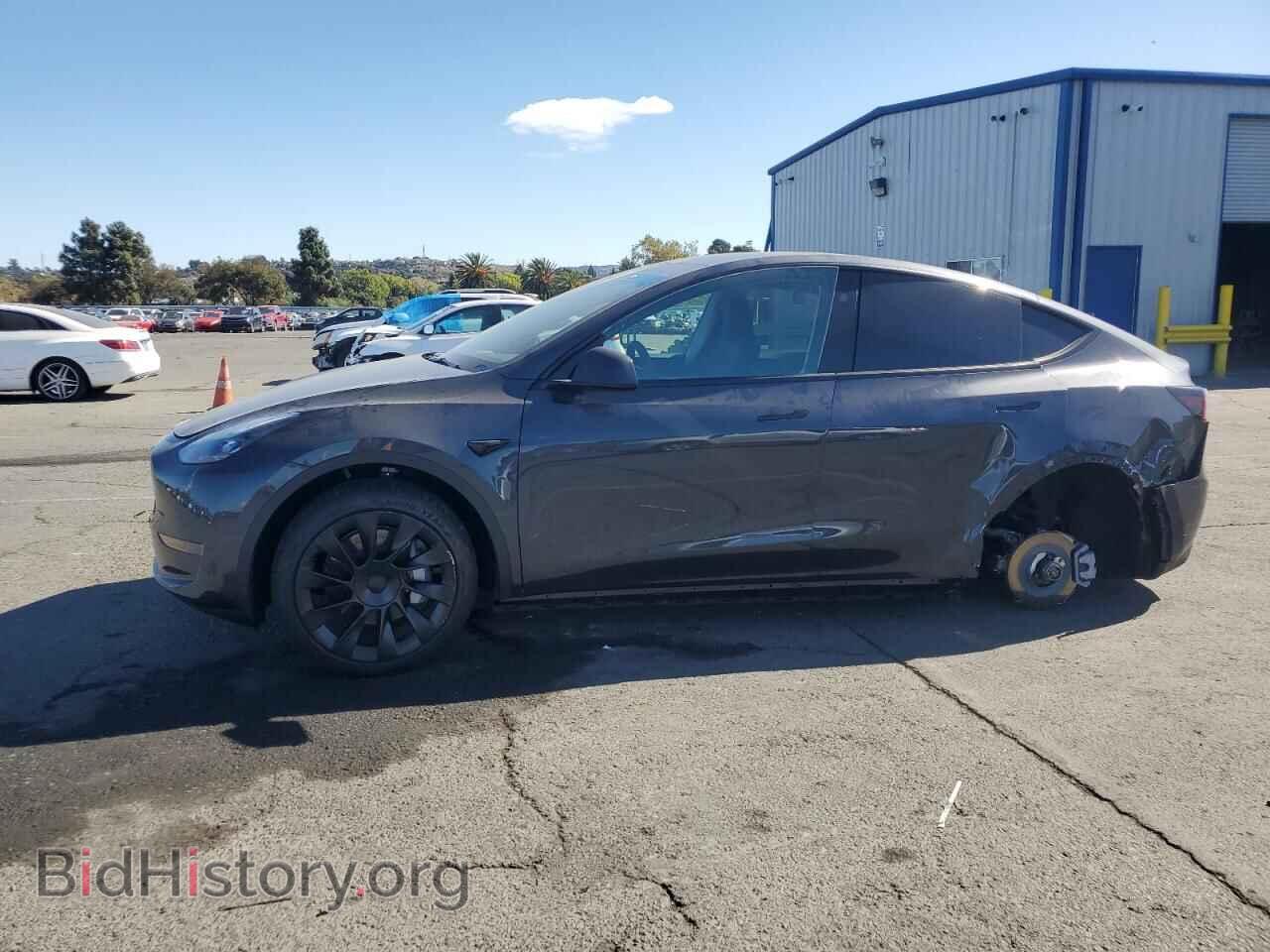 Фотография 7SAYGAEE7RF002824 - TESLA MODEL Y 2024