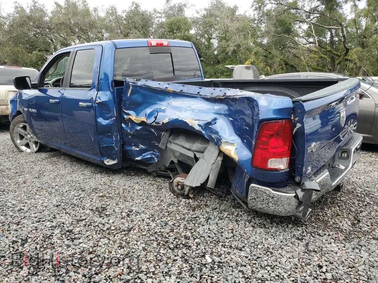 2010 DODGE All Models - VIN: 1D7RB1GT1AS132638 - Фото 2