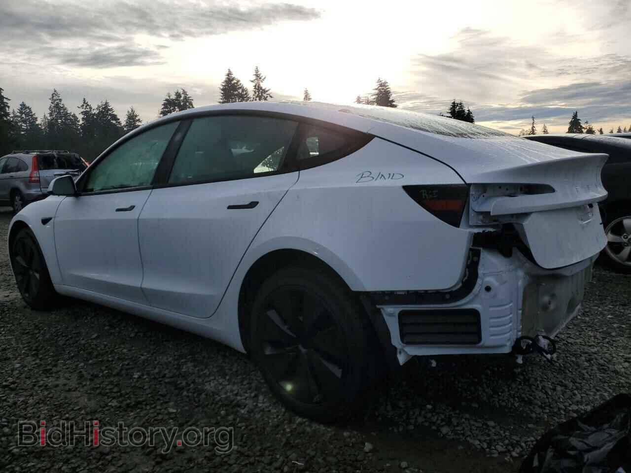 2024 TESLA MODEL 3 - VIN: 5YJ3E1EB1RF770544 - Photo 2