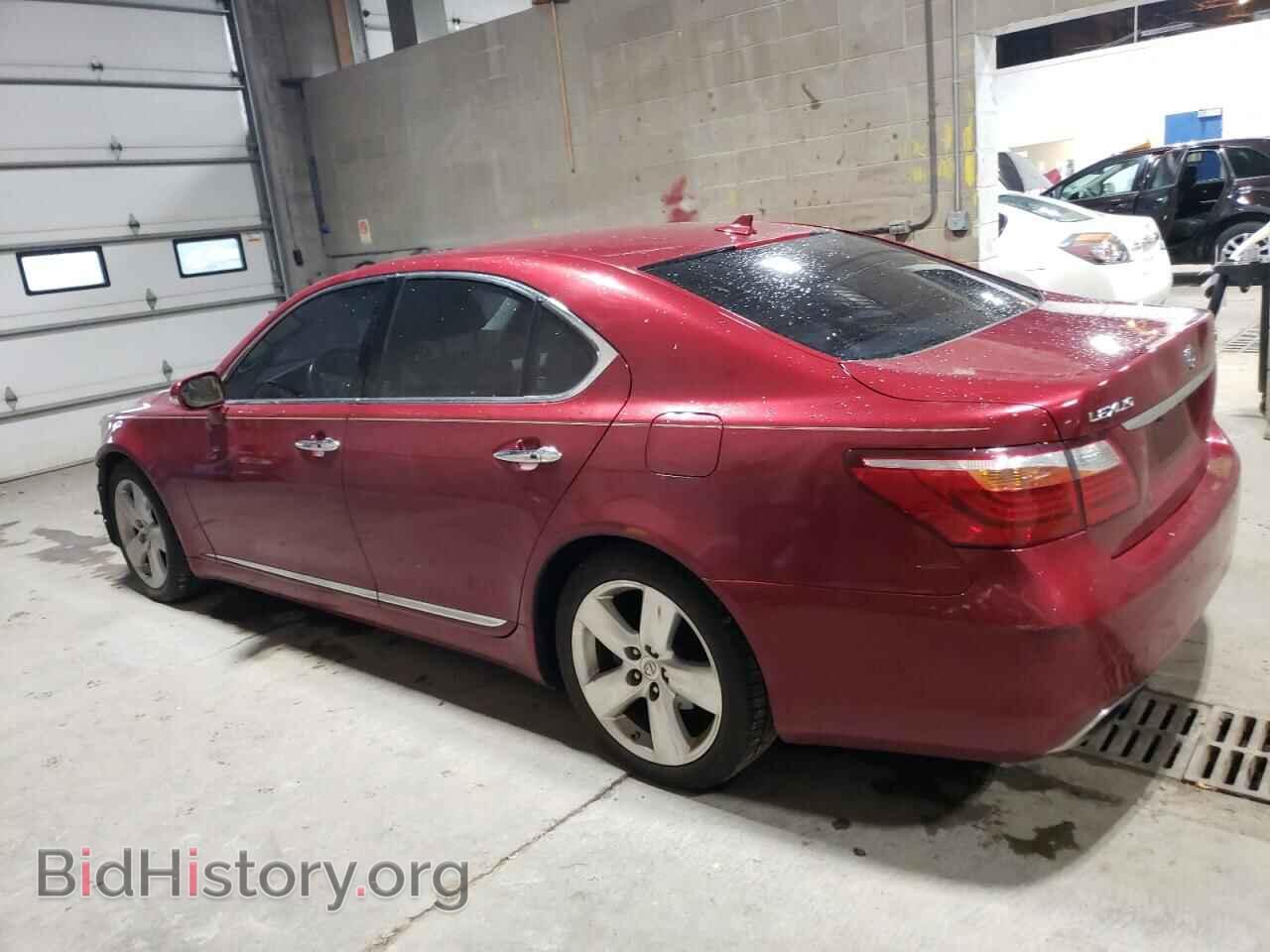 2010 LEXUS LS460 - VIN: JTHBL5EF0A5094099 - Фото 2