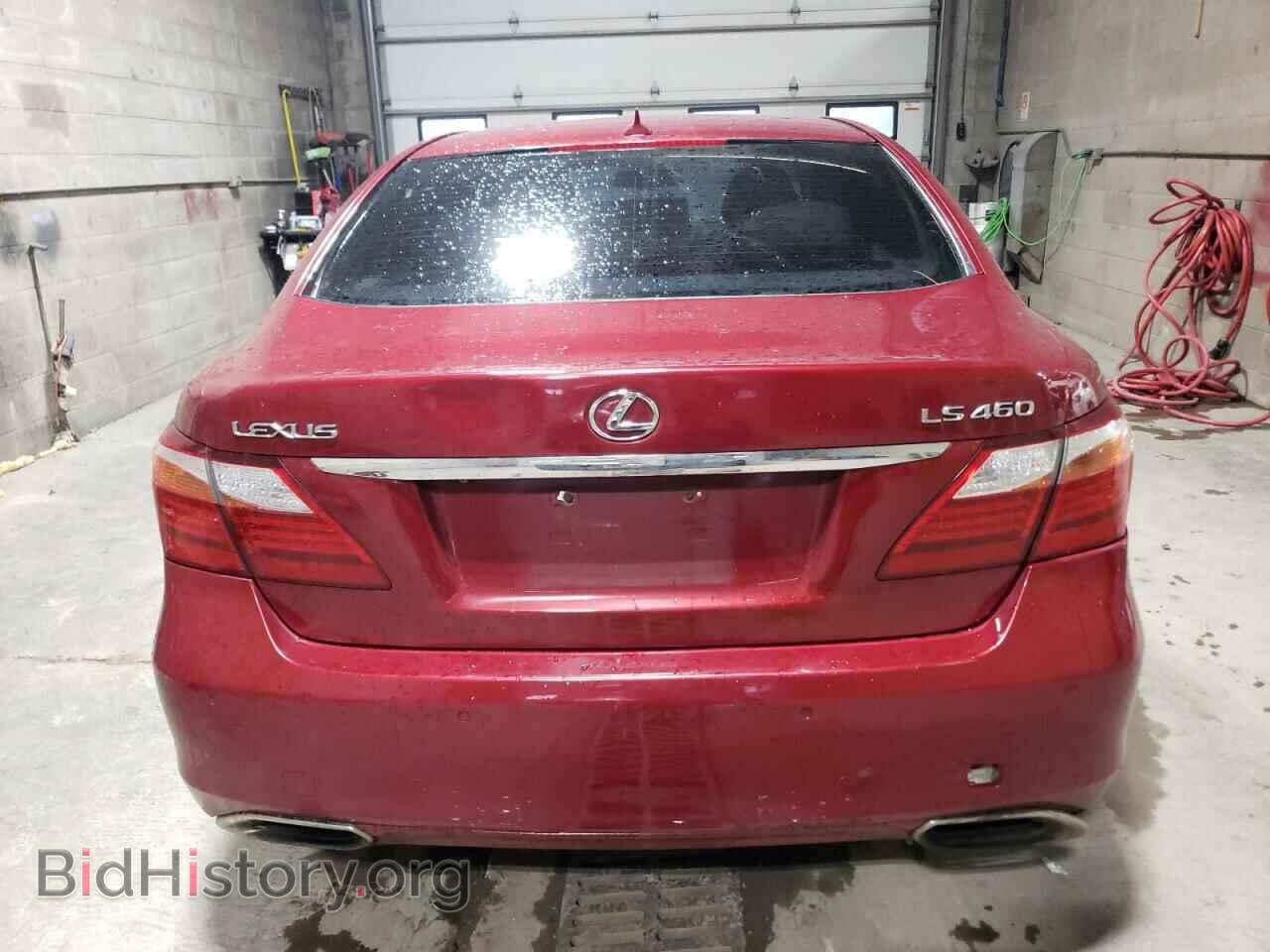 2010 LEXUS LS460 - VIN: JTHBL5EF0A5094099 - Фото 6