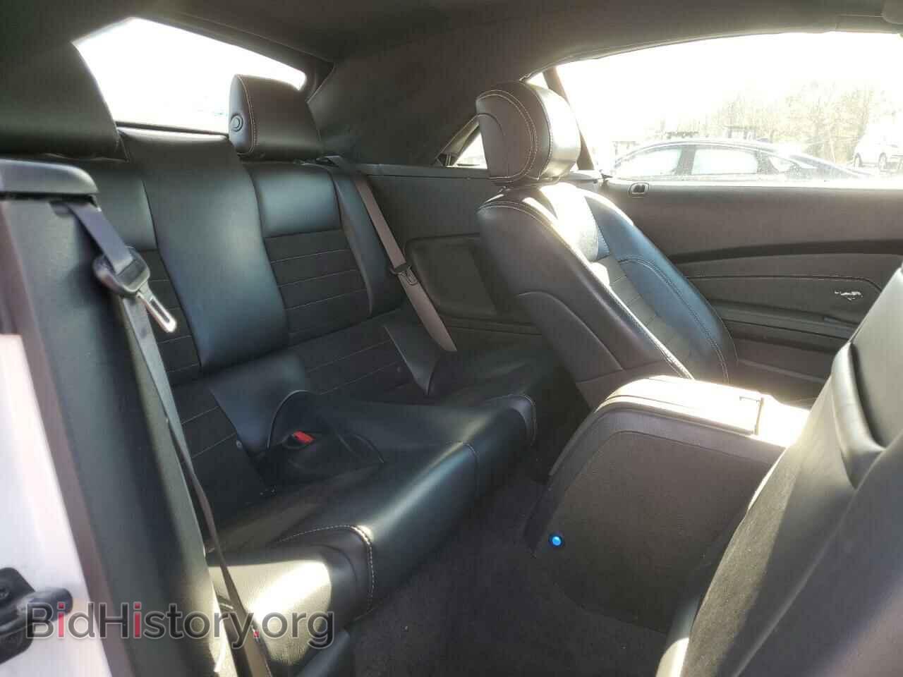 2013 FORD MUSTANG - VIN: 1ZVBP8FF2D5207560 - Фото 10