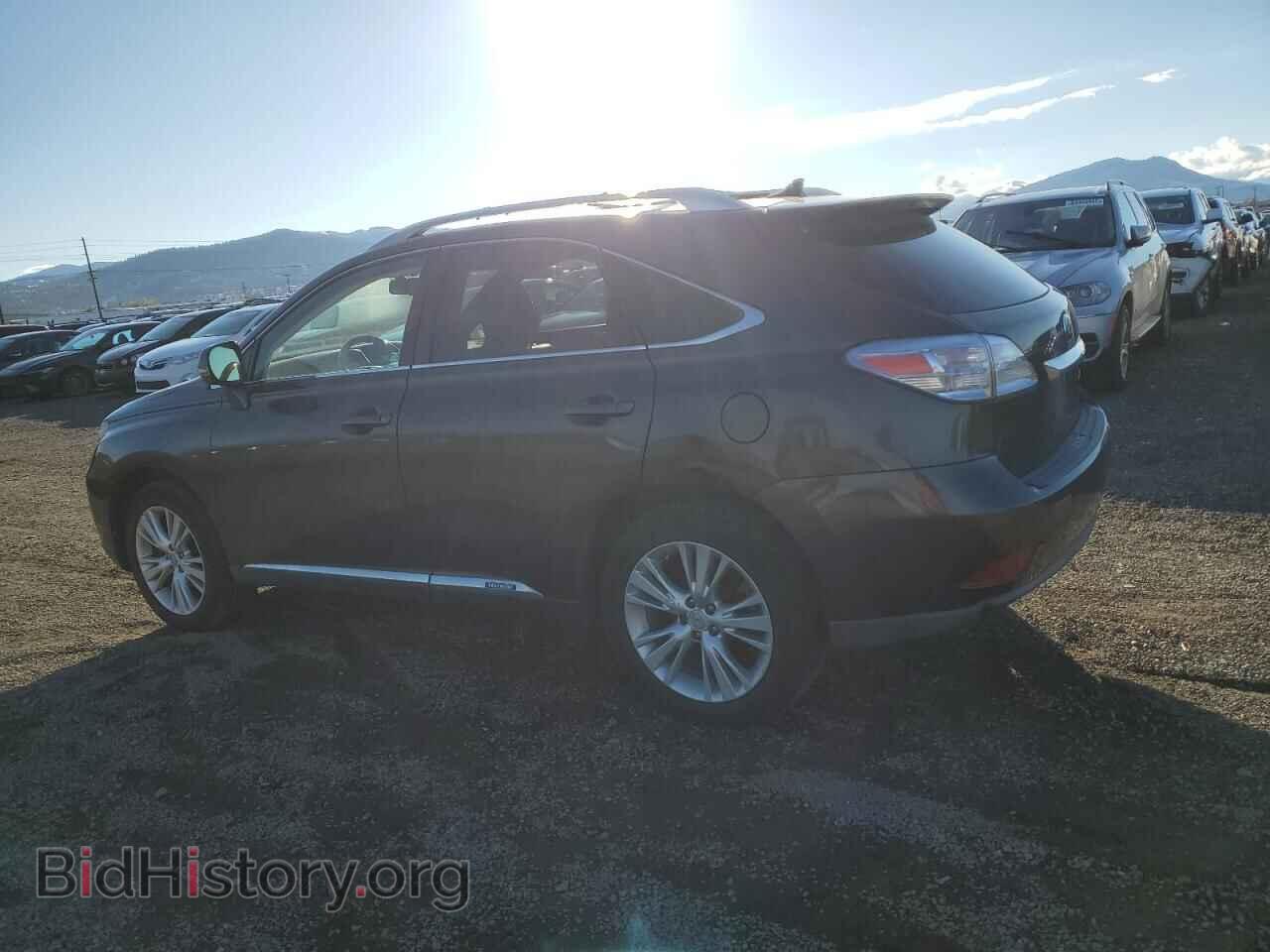 2010 LEXUS RX450 - VIN: JTJBC1BA8A2025551 - Фото 2